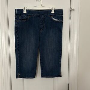 Gloria Vanderbilt Blue Knee Length Cropped Jeans
